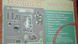 Руками — трогать! Занятия для малышей в Екатеринбургском зоопарке