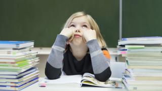 Как делать уроки с детьми и не оказать "медвежью услугу"