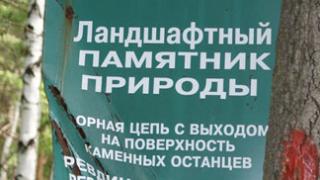 Урочище «Каменное». Зеленая сова