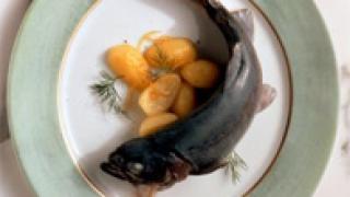 Меню-o-fish. Прикорм из рыбы для самых маленьких