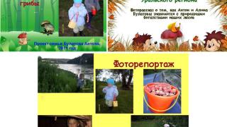 Дети в царстве растений или Как сделать лесные прогулки безопасными