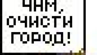 Под пальмами, под пальмами...