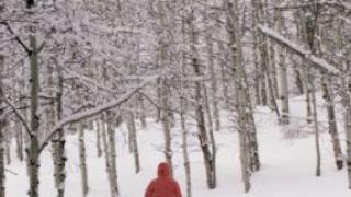 Беременность и спорт: лыжи
