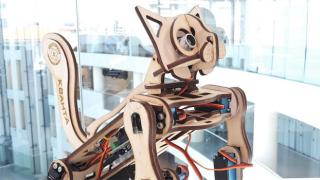 День детских изобретений. Пять проектов - лучших школьных идей 2019