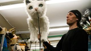 За кулисами Театра кукол