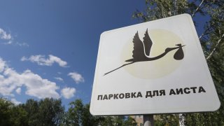 В чём «выписываться» летом из роддома?